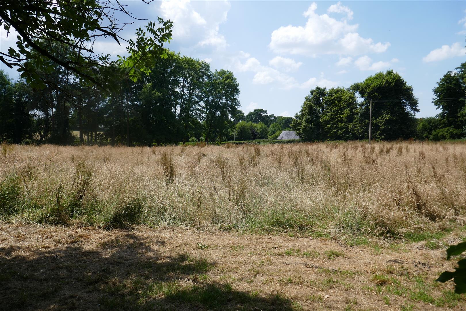 LAND